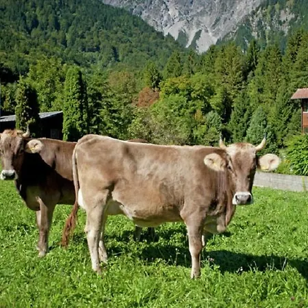 Haus Tanja *